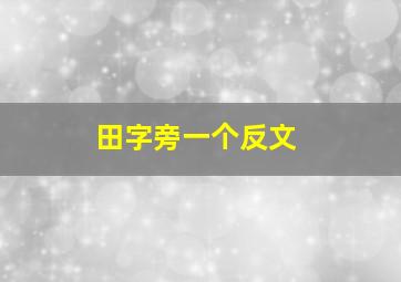 田字旁一个反文