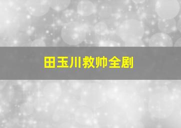 田玉川救帅全剧