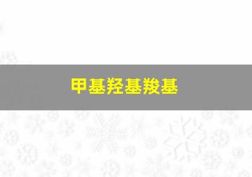 甲基羟基羧基