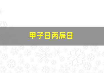 甲子日丙辰日