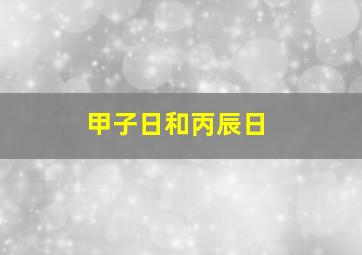 甲子日和丙辰日