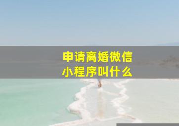 申请离婚微信小程序叫什么