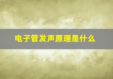 电子管发声原理是什么