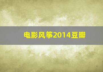 电影风筝2014豆瓣