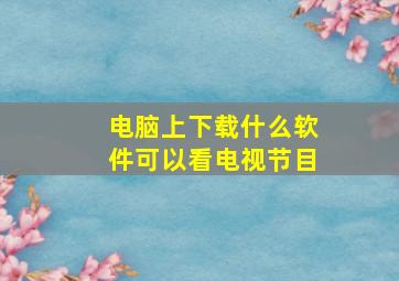 电脑上下载什么软件可以看电视节目