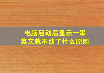 电脑启动后显示一串英文就不动了什么原因