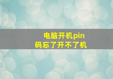 电脑开机pin码忘了开不了机