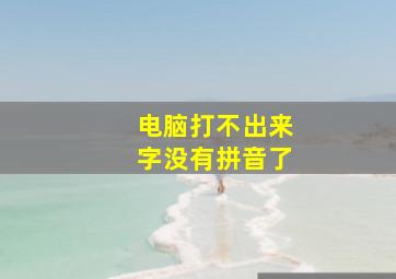 电脑打不出来字没有拼音了