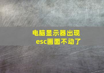 电脑显示器出现esc画面不动了