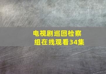 电视剧巡回检察组在线观看34集