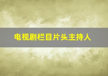 电视剧栏目片头主持人