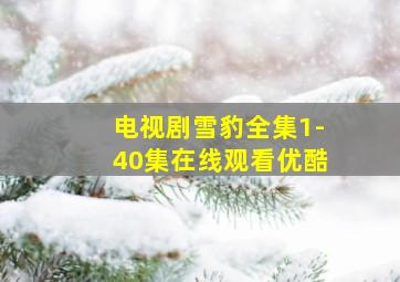 电视剧雪豹全集1-40集在线观看优酷