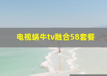 电视蜗牛tv融合58套餐