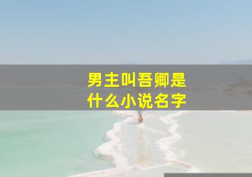 男主叫吾卿是什么小说名字