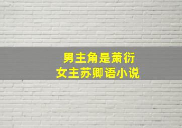 男主角是萧衍女主苏卿语小说