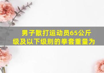 男子散打运动员65公斤级及以下级别的拳套重量为