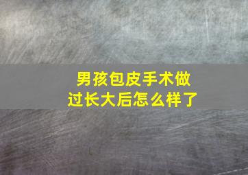 男孩包皮手术做过长大后怎么样了