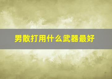 男散打用什么武器最好