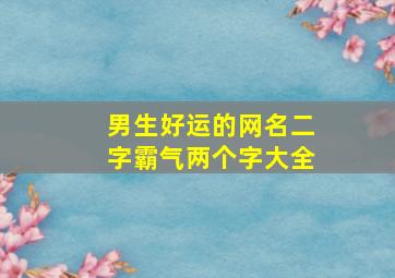 男生好运的网名二字霸气两个字大全