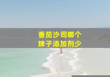 番茄沙司哪个牌子添加剂少