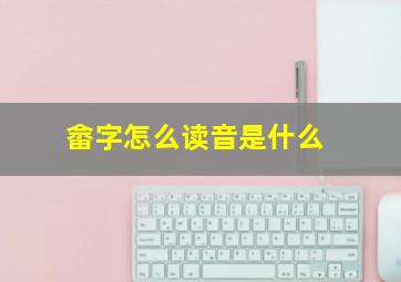 畲字怎么读音是什么