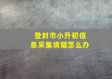 登封市小升初信息采集填错怎么办