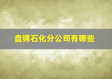 盘锦石化分公司有哪些