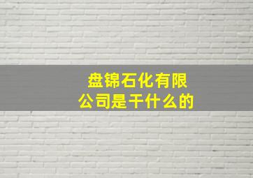 盘锦石化有限公司是干什么的