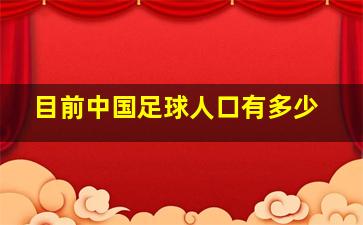 目前中国足球人口有多少