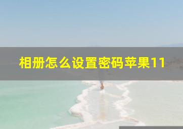 相册怎么设置密码苹果11