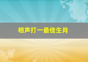 相声打一最佳生肖