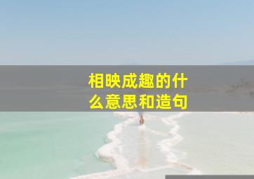 相映成趣的什么意思和造句