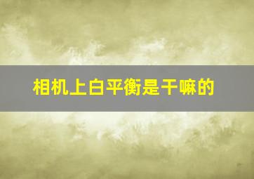 相机上白平衡是干嘛的