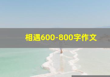 相遇600-800字作文