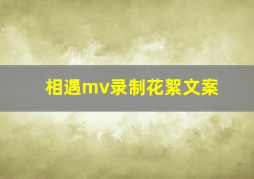 相遇mv录制花絮文案