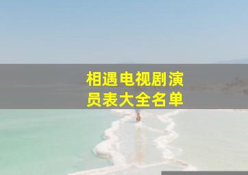 相遇电视剧演员表大全名单