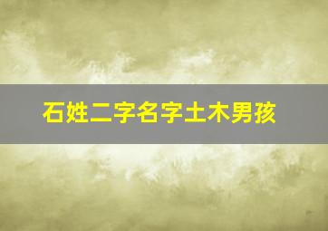 石姓二字名字土木男孩