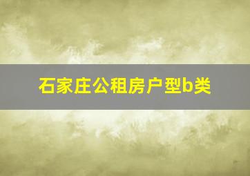 石家庄公租房户型b类