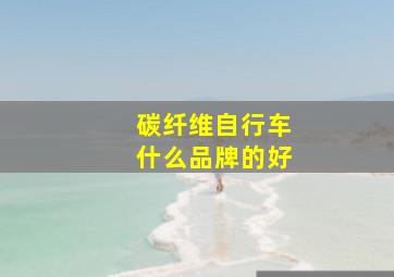 碳纤维自行车什么品牌的好