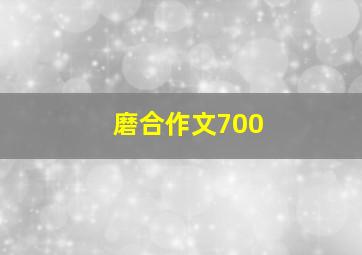 磨合作文700