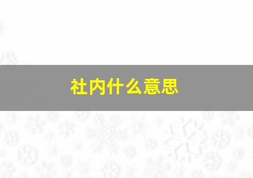 社内什么意思