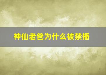 神仙老爸为什么被禁播