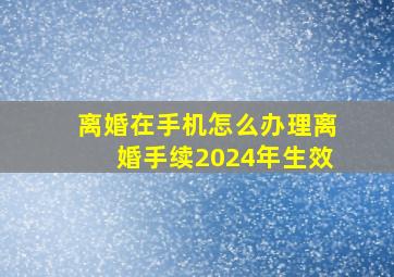 离婚在手机怎么办理离婚手续2024年生效