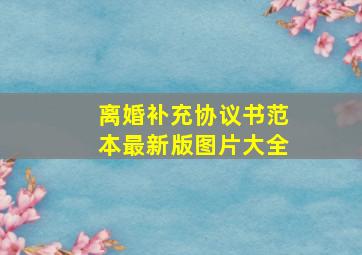 离婚补充协议书范本最新版图片大全