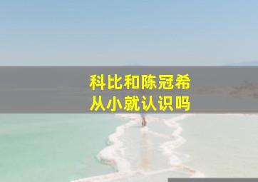 科比和陈冠希从小就认识吗