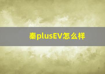 秦plusEV怎么样