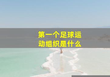 第一个足球运动组织是什么