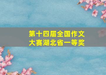 第十四届全国作文大赛湖北省一等奖