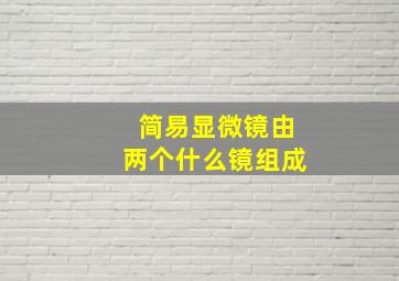 简易显微镜由两个什么镜组成