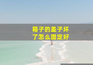 箱子的盖子坏了怎么固定好